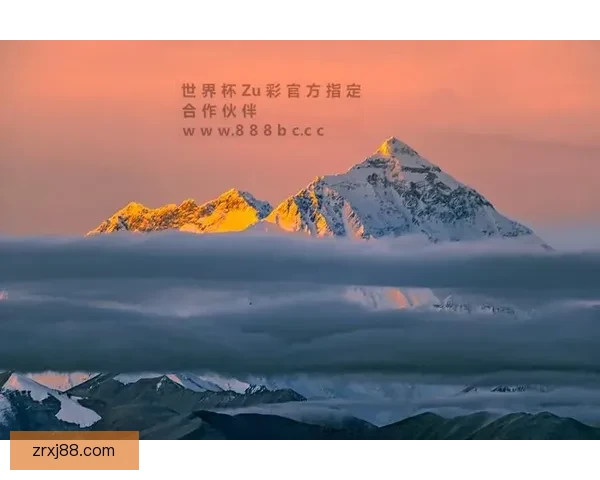 世界杯买球网站最新资讯与技巧全面解析指南